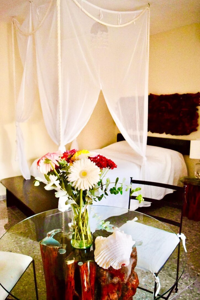 Junior Studio Suite