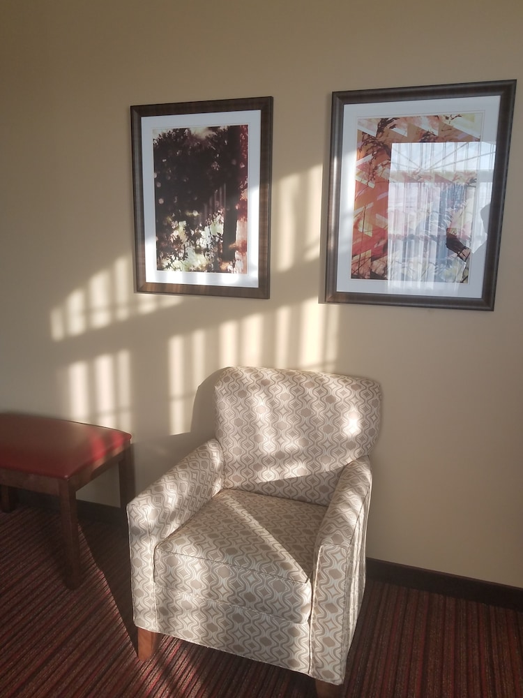 Standard Room, 1 King Bed, Non Smoking, Refrigerator & Microwave (Shower Only)