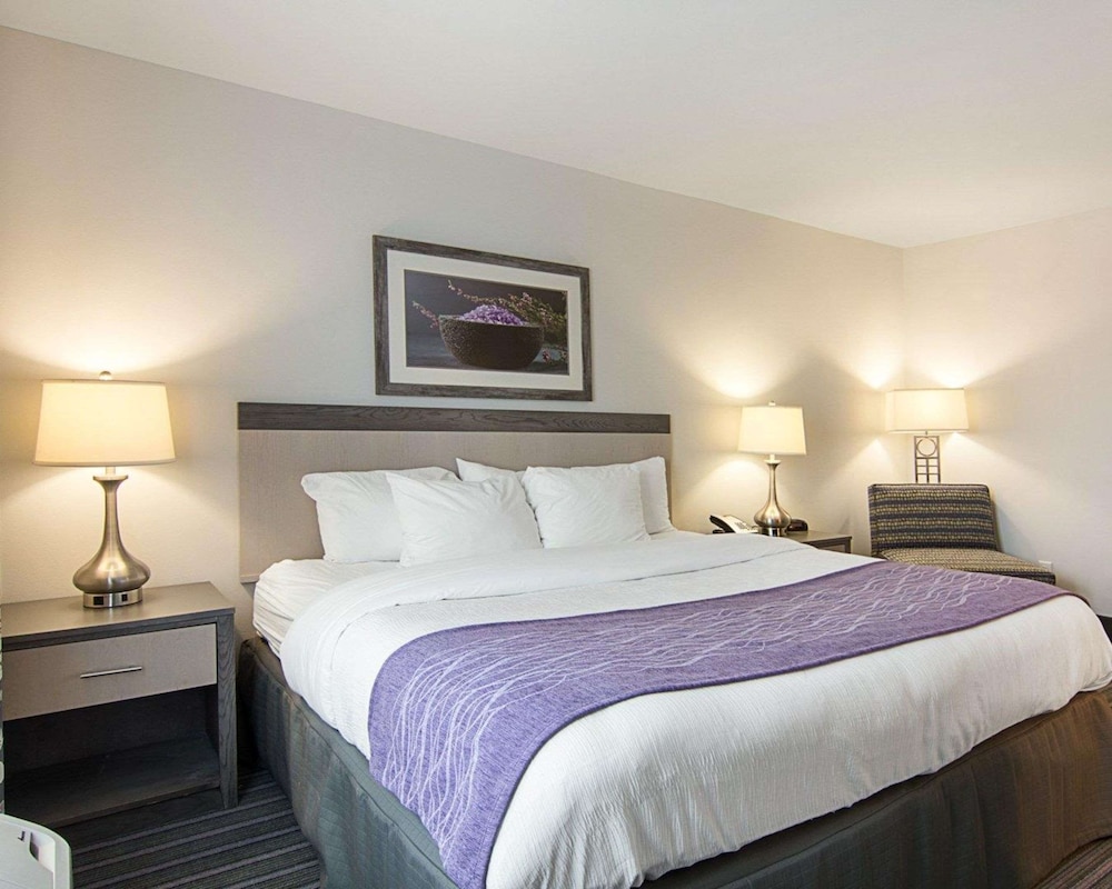 Room, 1 King Bed, Accessible, Non Smoking - Photo 3