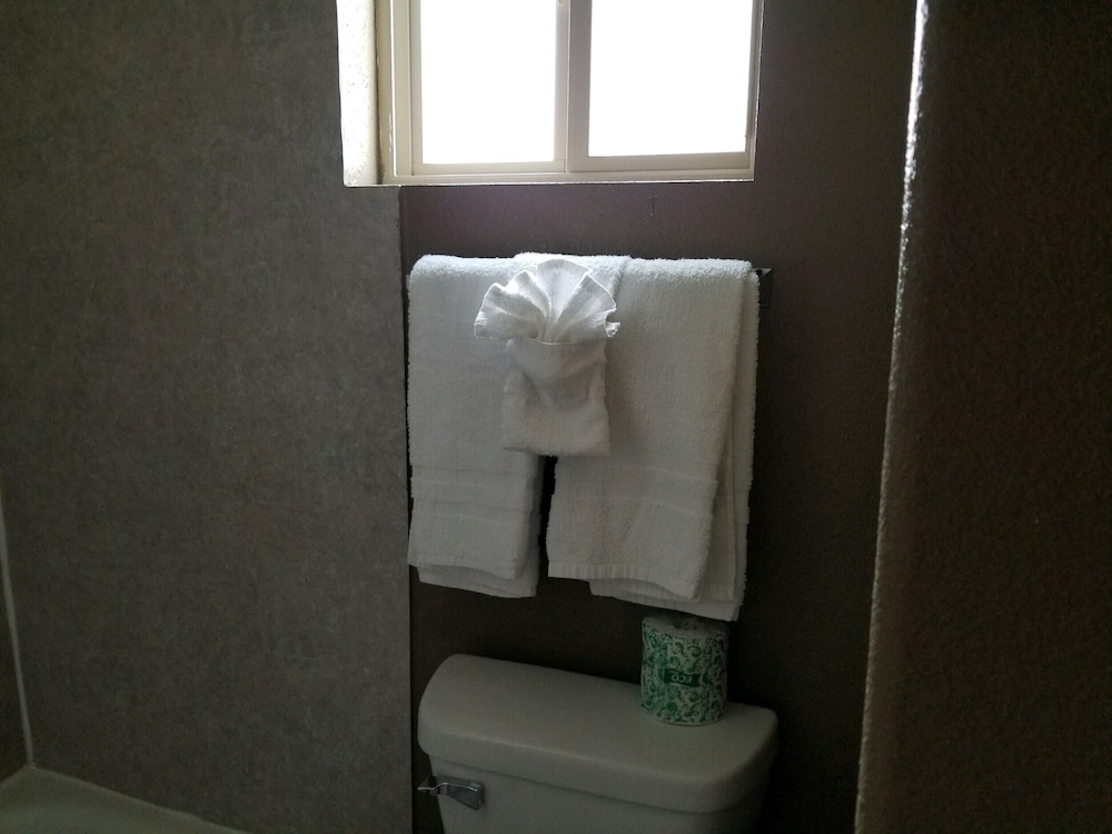Single Room (Basic Single Room No pets allowed) photo 3