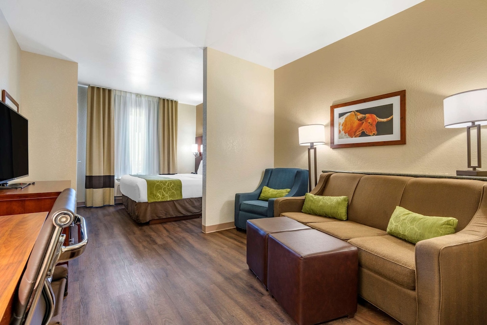 Suite, 1 King Bed, Non Smoking - Photo 1