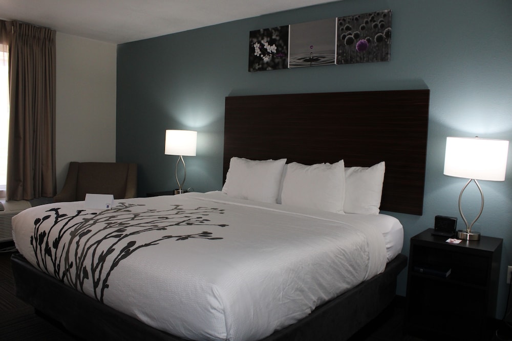 Room, 1 King Bed, Accessible, Non Smoking (Mobility, Roll-in Shower) - Photo 4