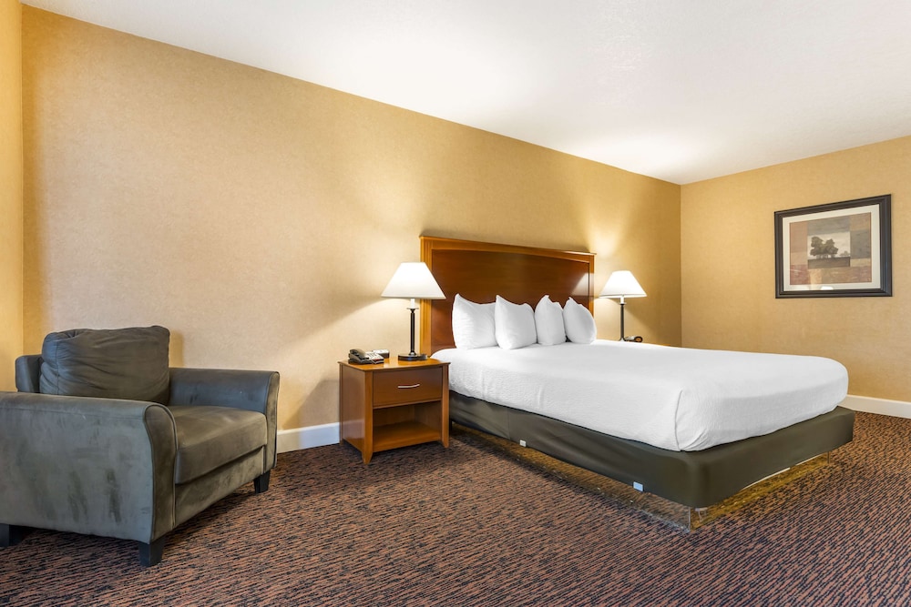 Business Room, 1 King Bed, Non Smoking, Refrigerator & Microwave - Photo 3