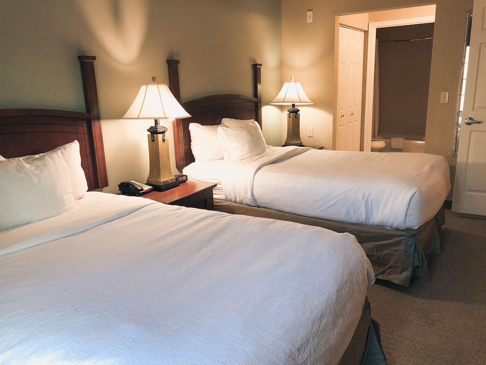 Standard Suite, 2 Double Beds