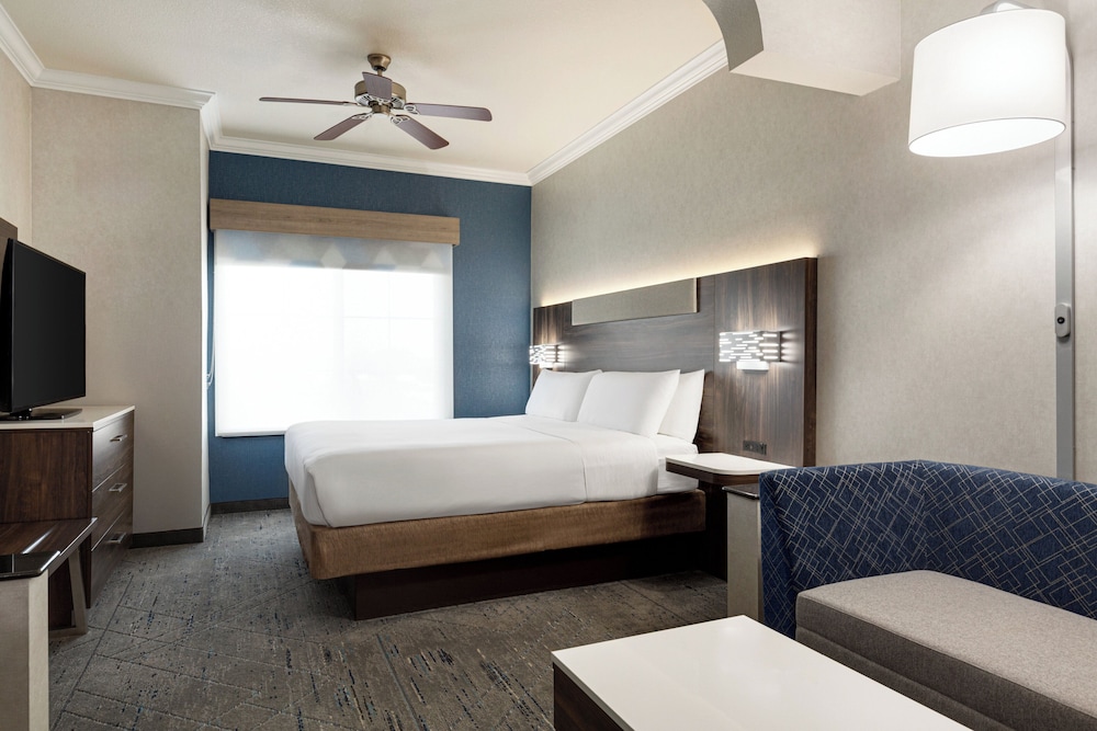 Suite, 1 King Bed - Photo 5