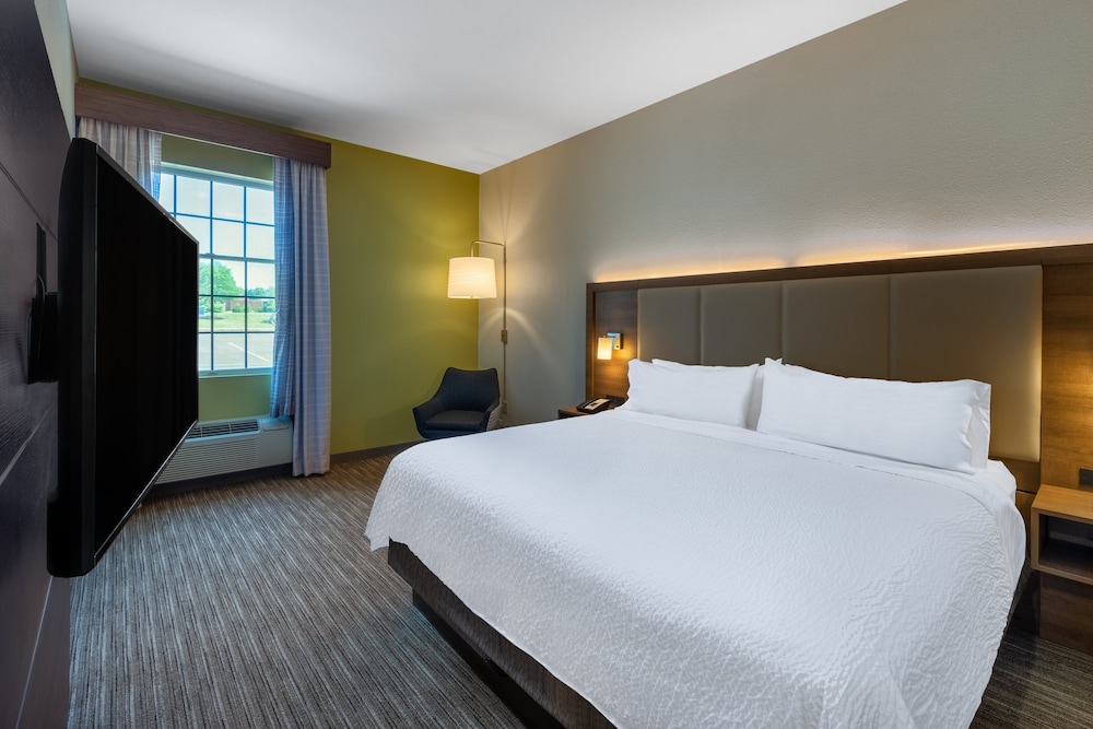 Suite, 1 King Bed, Accessible (Communication, Mobil Roll-In Shower) - Photo 6
