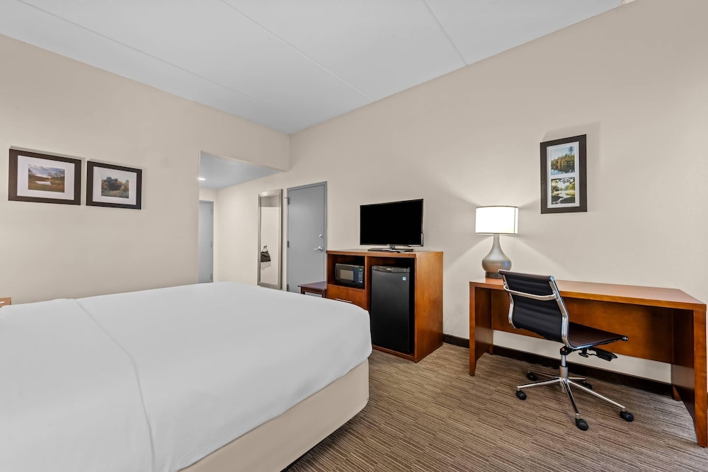 Room, 1 King Bed, Non Smoking - Photo 1