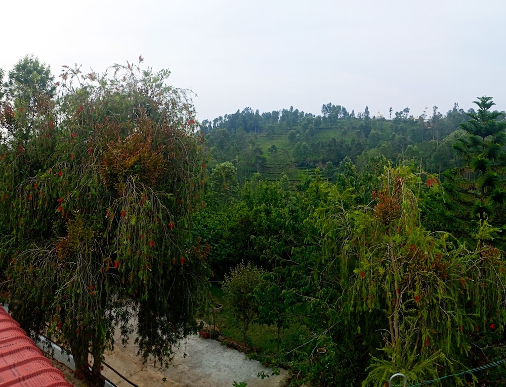 Basic Villa - Photo 7