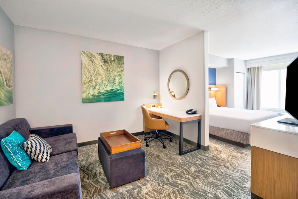 Suite, 1 King Bed with Sofa bed photo 1