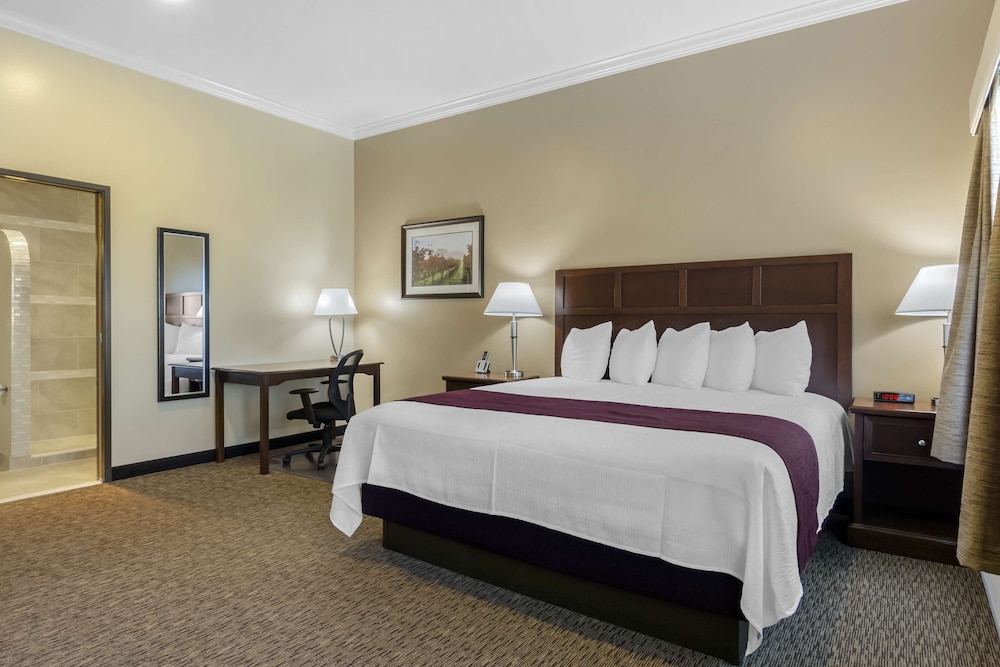 Suite, 1 King Bed, Non Smoking, Kitchen (Walk-in Shower) photo 1