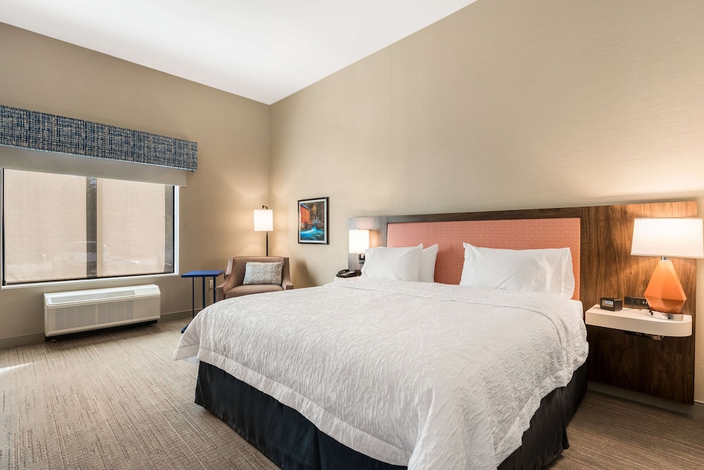 Standard Room, 1 King Bed, Accessible (Roll-In Shower, Mobility & Hearing)