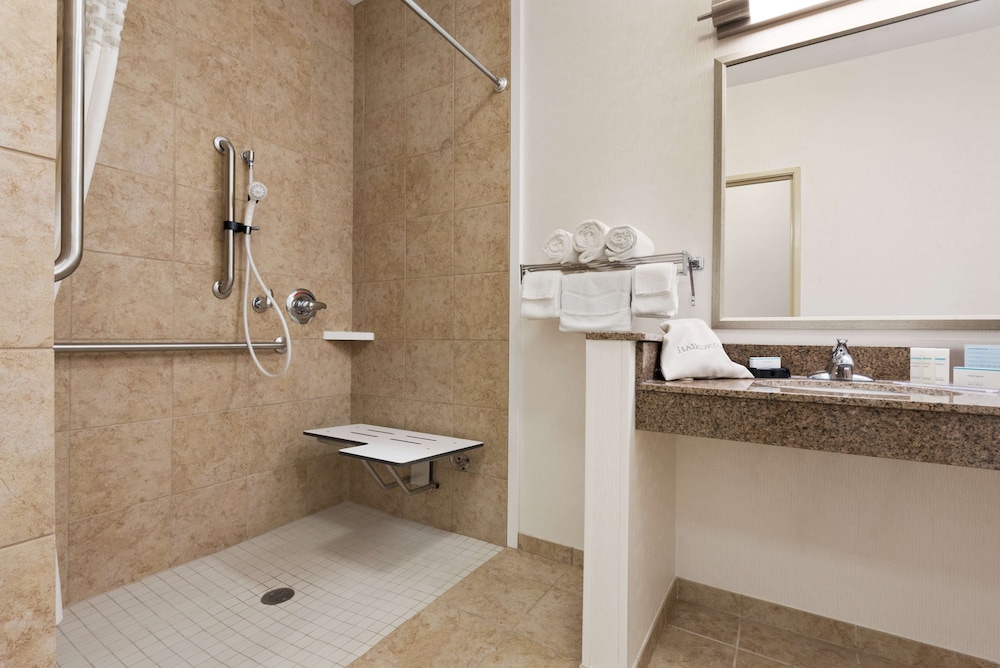 Room, 1 King Bed, Accessible (Roll-In Shower) - Photo 4