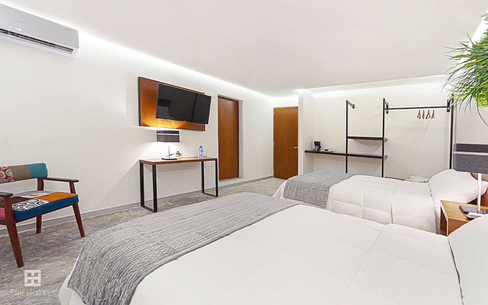 Deluxe Quadruple Room photo 2