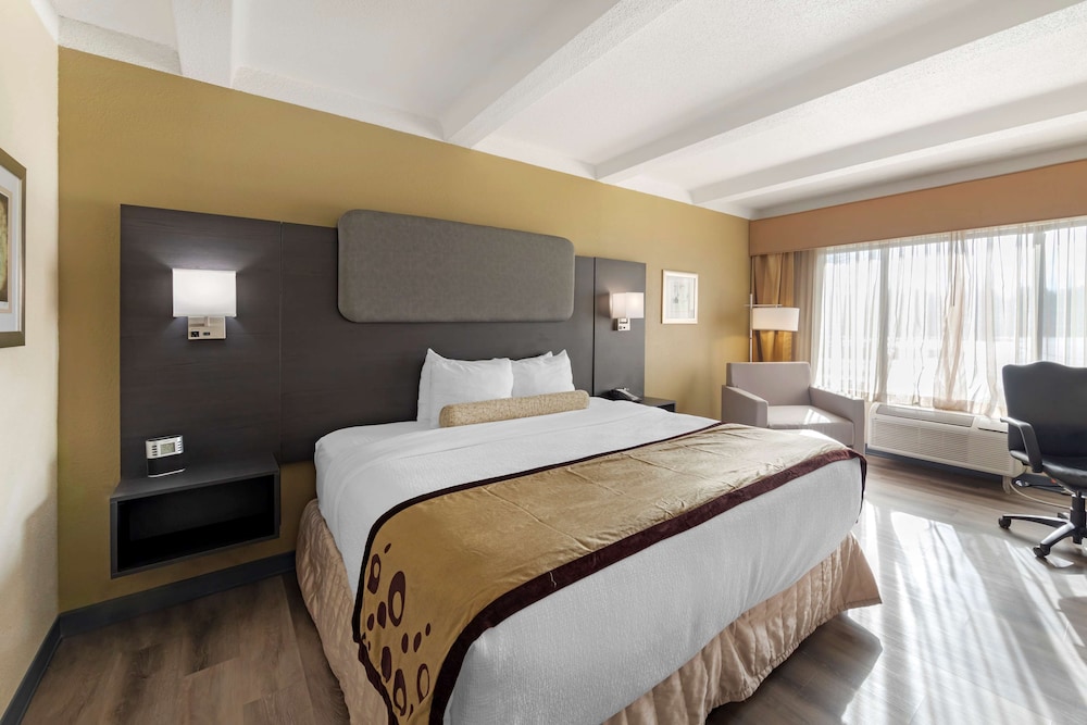 Suite, 1 King Bed, Non Smoking, Kitchenette (with Sofabed) photo 1