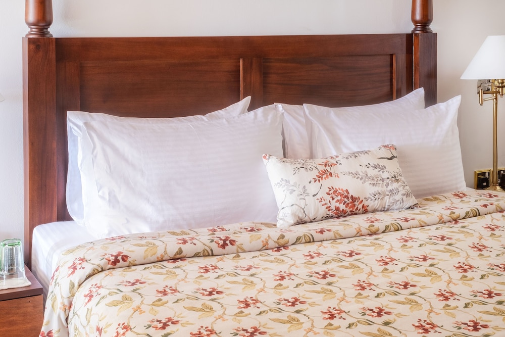 Deluxe Room photo 1