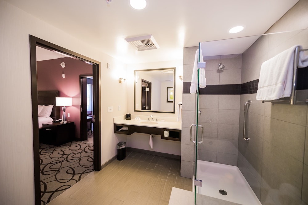 Suite, One King Bed with Sofabed photo 3