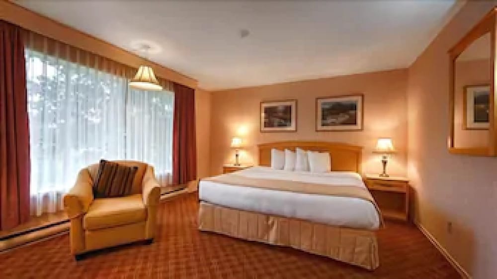 Room, 1 King Bed photo 2