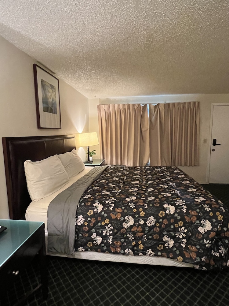 Deluxe Room, 1 King Bed photo 2