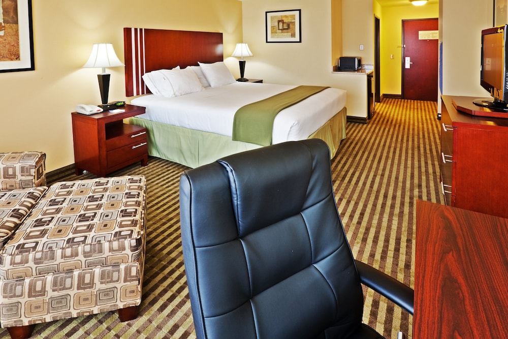 Suite, 1 King Bed, Roll-in Shower (Mobility Accessible) - Photo 1