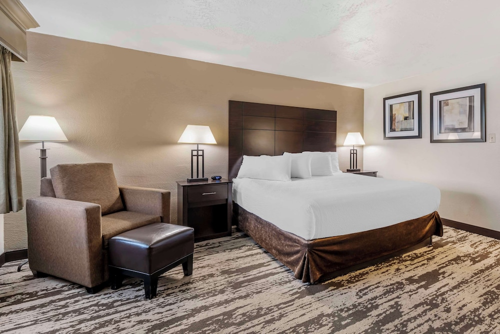 Deluxe Room, 1 King Bed, Non Smoking, Refrigerator & Microwave - Photo 1