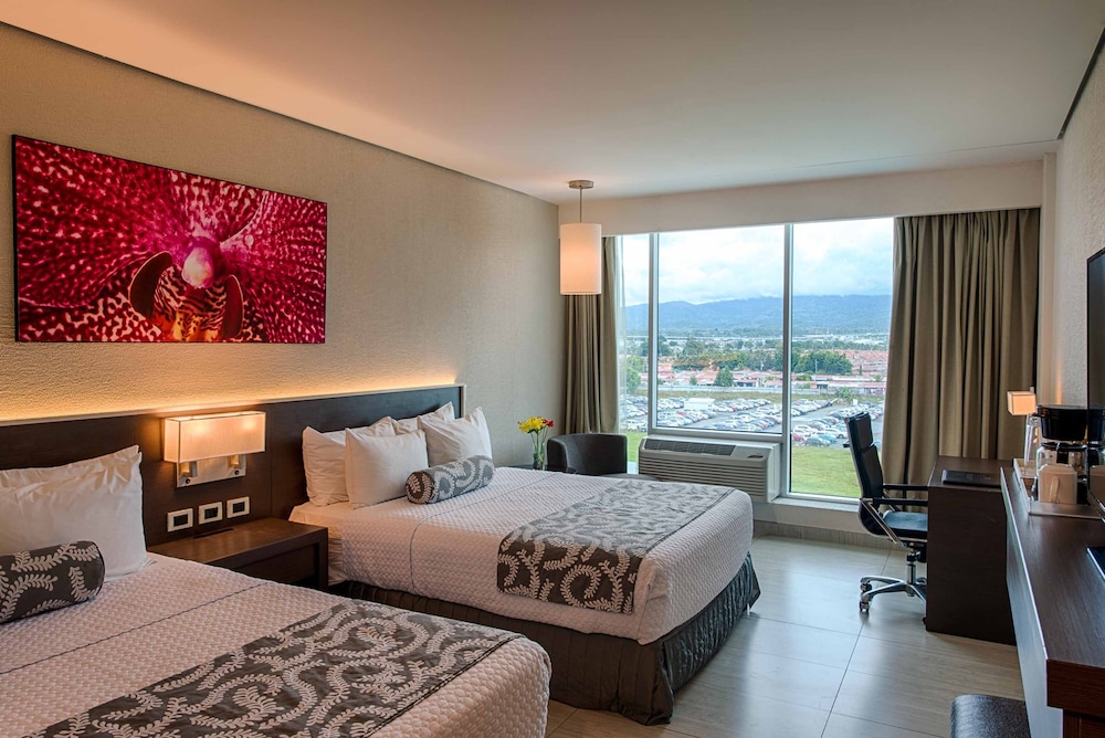 Room, 2 Queen Beds, Accessible (Transfer Shower) photo 2