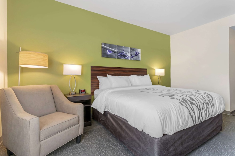 Standard Room, 1 King Bed, Non Smoking - Photo 4