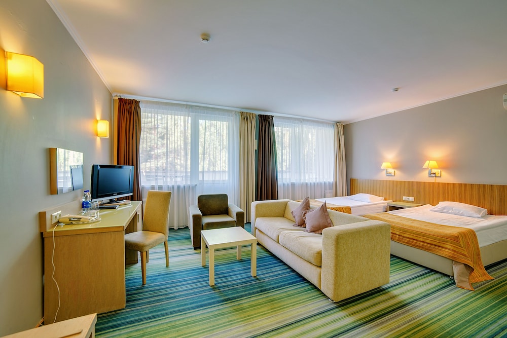 Deluxe Room (korpus Lesnoy) photo 1