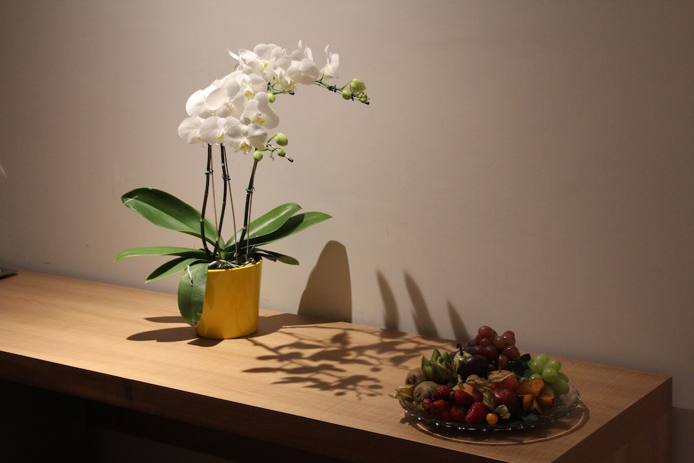 Luxury Room - Photo 11