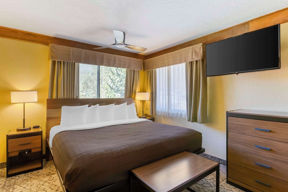 Standard Room, 1 Queen Bed, Non Smoking, Kitchen (Bunk beds) photo 1