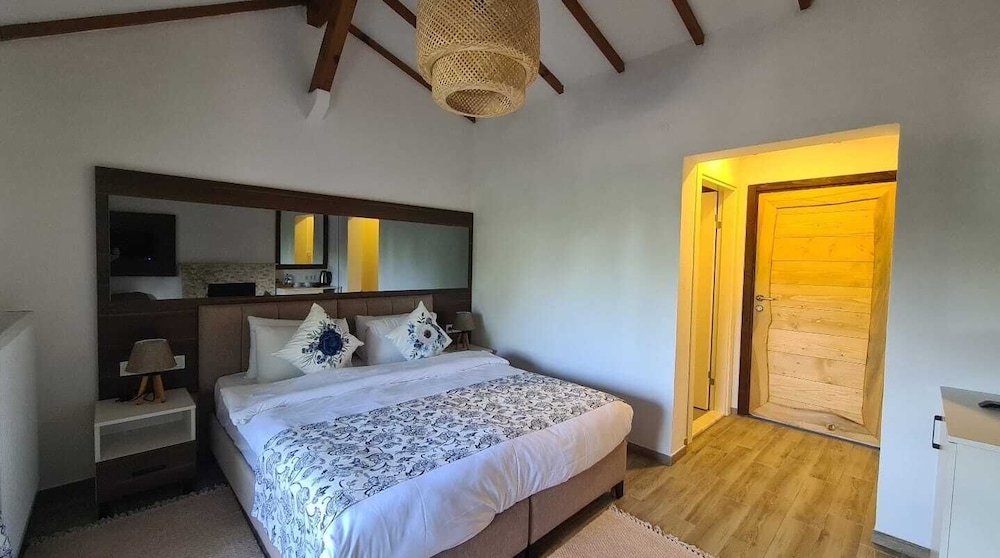 Deluxe Double or Twin Room photo 1