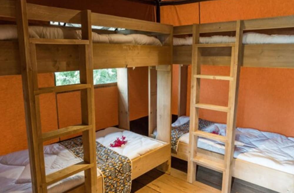 Luxury Room, Multiple Beds, Non Smoking, Garden View photo 1