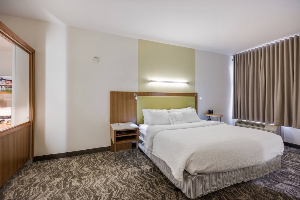 Suite, 1 King Bed with Sofa bed photo 3