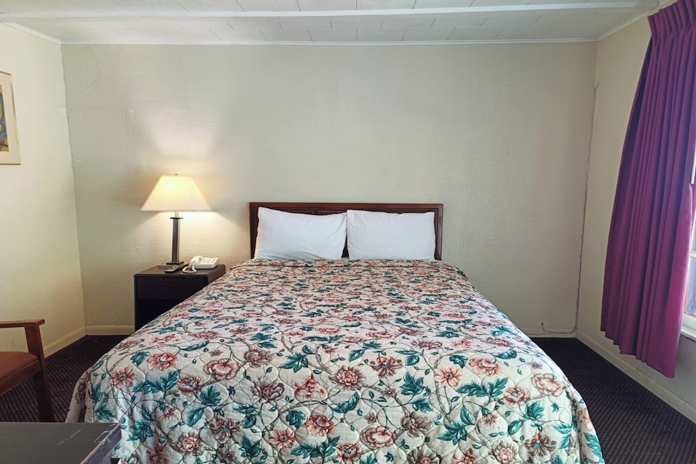 Room, 1 Queen Bed, Non Smoking photo 2