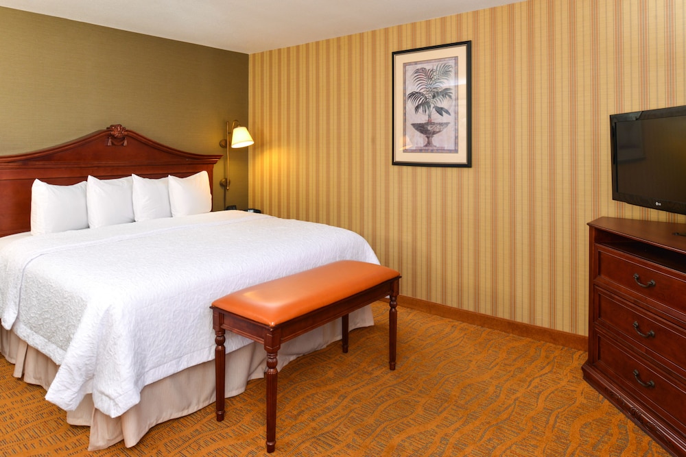 Room, 1 King Bed, Accessible - Photo 2