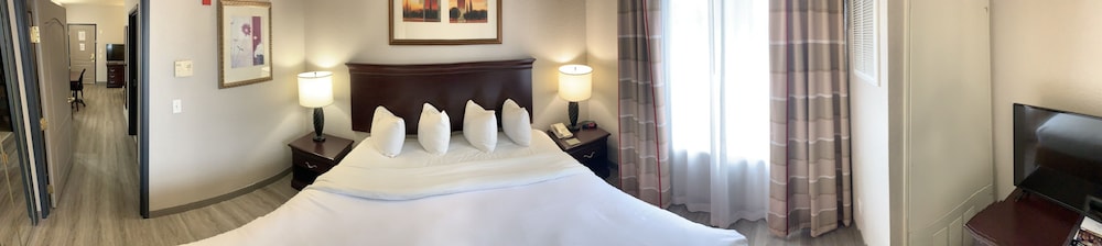 Suite, 1 King Bed with Sofa bed, Non Smoking (1 Kingbed) - Photo 5