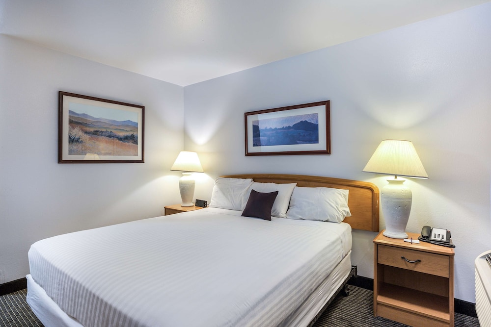 Suite, 1 King Bed photo 2