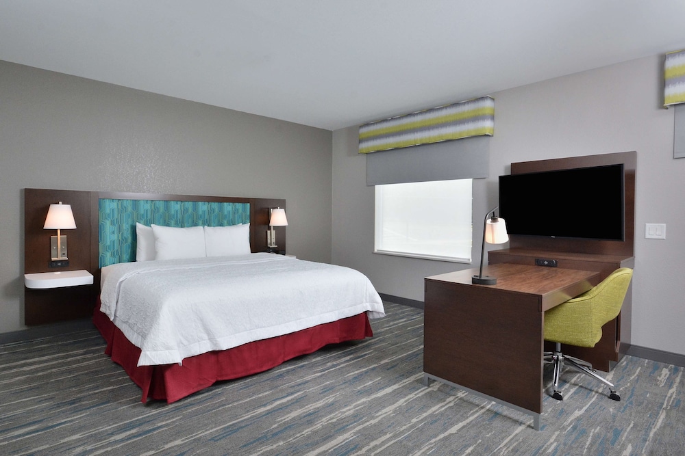 Suite, 1 King Bed, Accessible, Refrigerator & Microwave - Photo 10