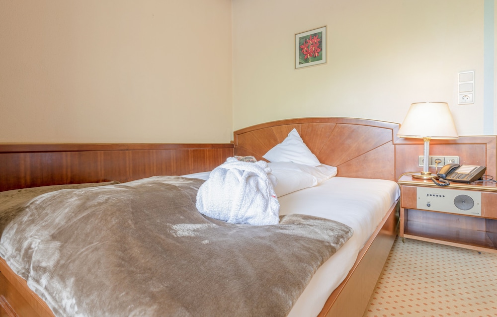 Single Room, Mountain View (Olperer) photo 2