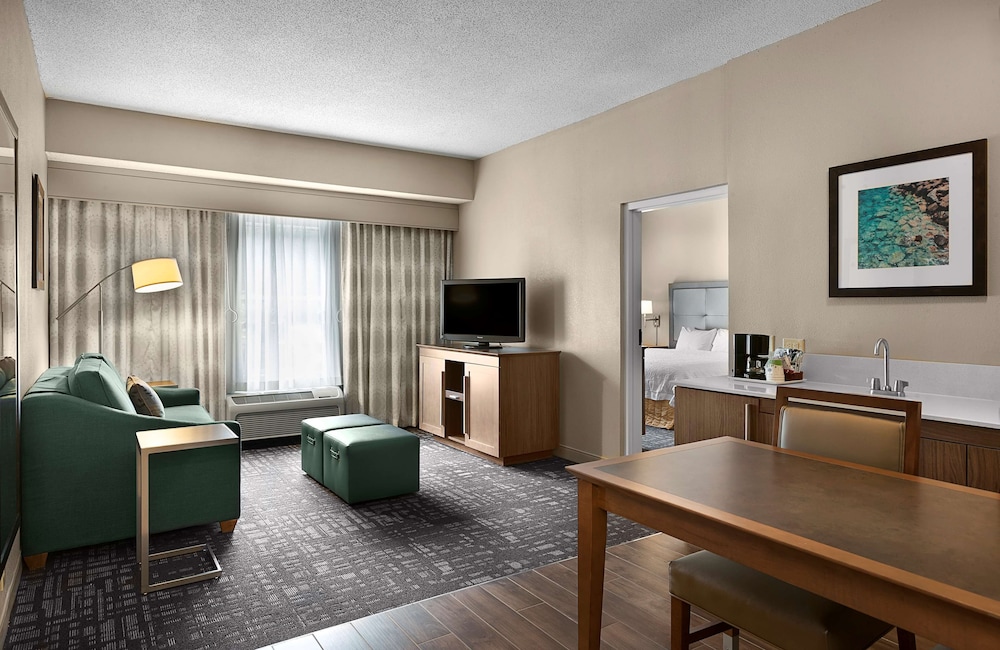 Suite, 1 King Bed, Accessible, Bathtub (Mobility & Hearing) - Photo 1
