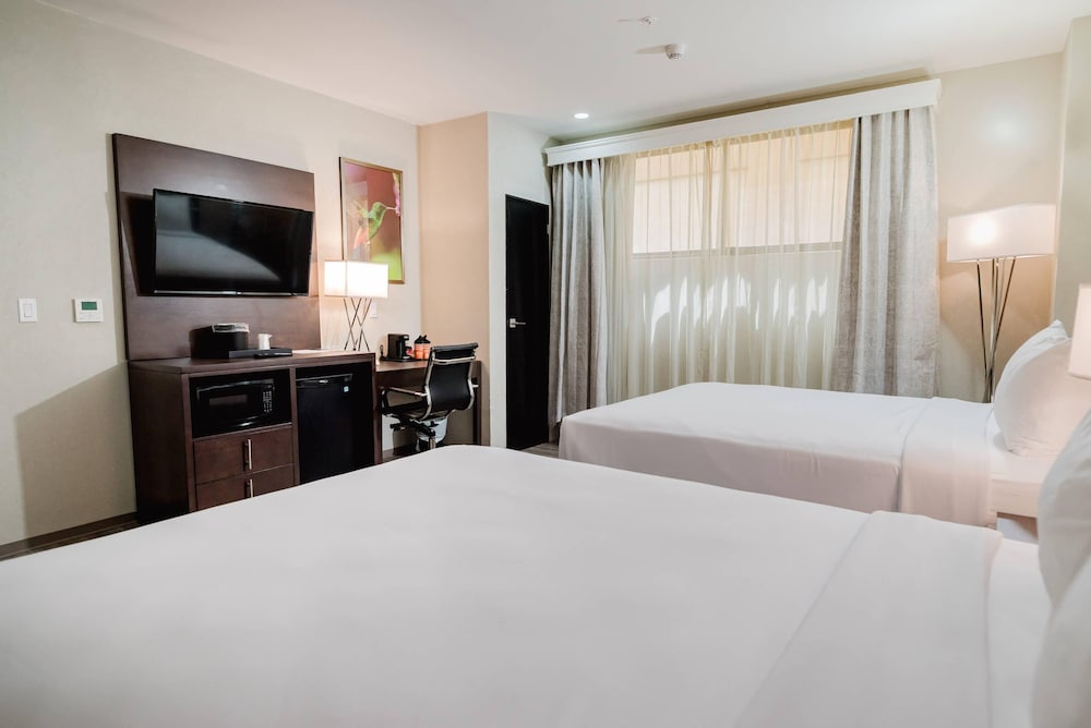 Suite, 1 King Bed, Non Smoking