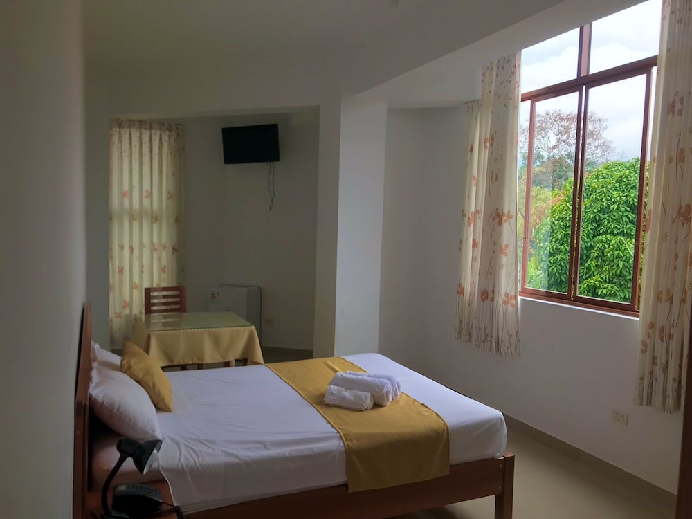 Premium Double Room, 1 King Bed (Air Conditioner) photo 1