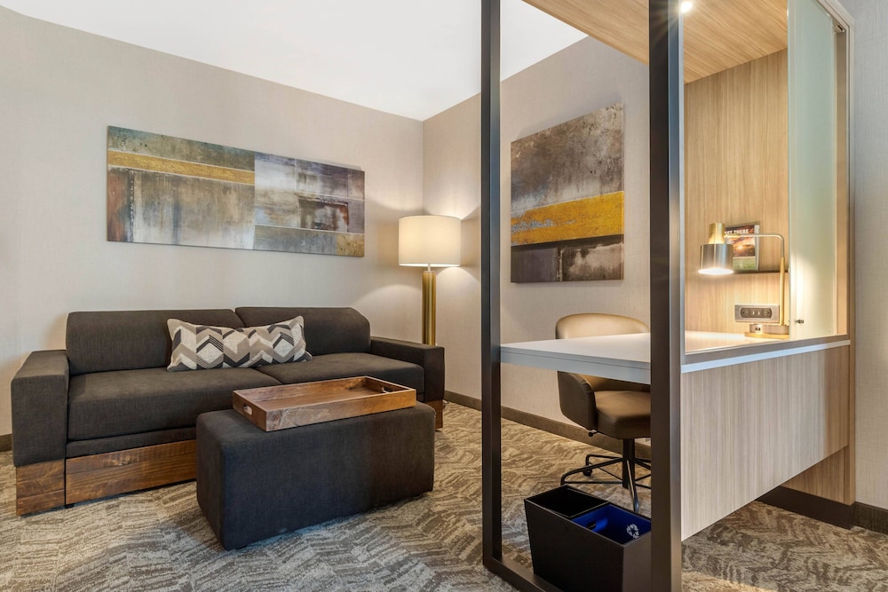 Suite, 1 King Bed (Hearing Accessible) photo 3