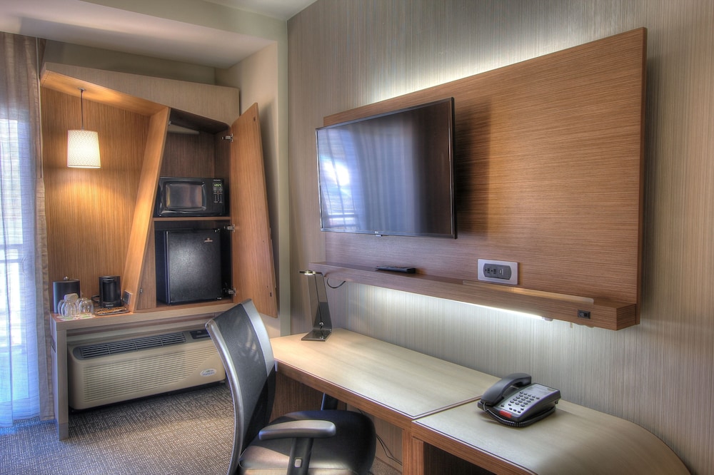 Room, 1 King Bed with Sofa bed