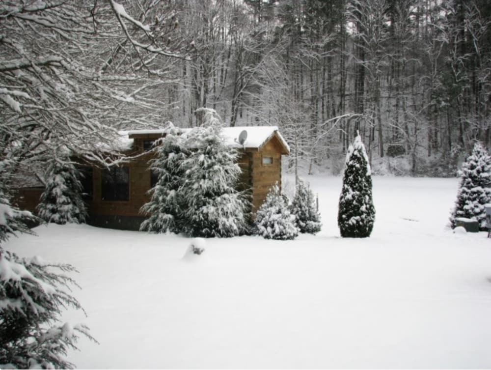 Cabin, Private Bathroom (Off the Map ) photo 3