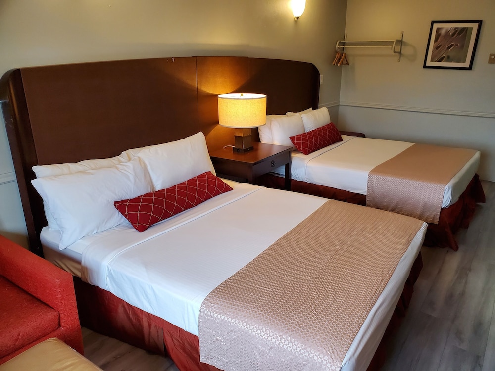Room, 2 Queen Beds photo 1