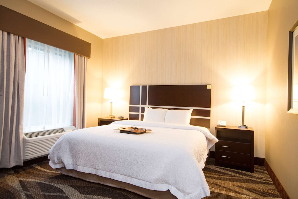 Suite, 1 King Bed, Non Smoking - Photo 1
