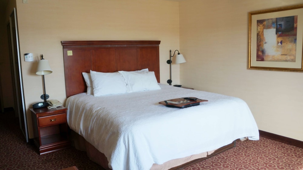 Room, 1 King Bed, Accessible