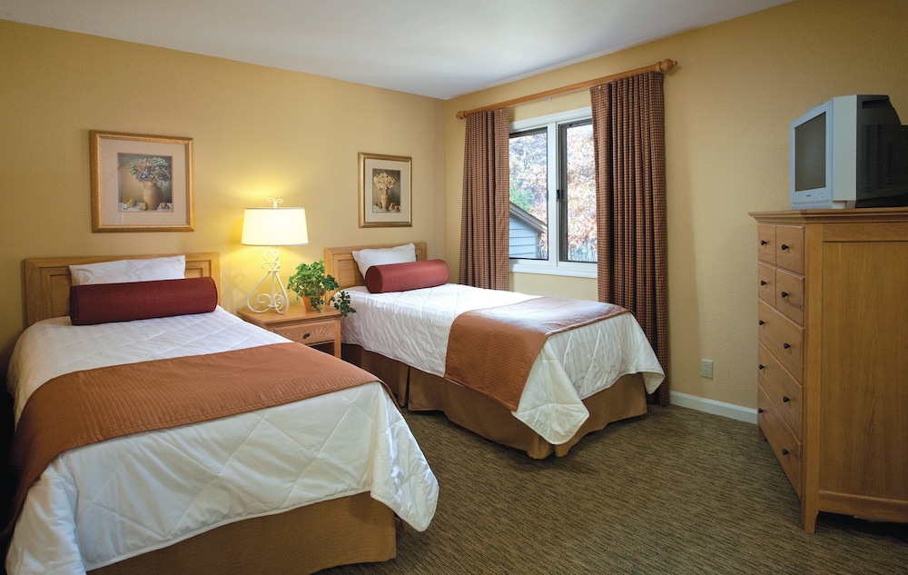 Suite, 1 Bedroom