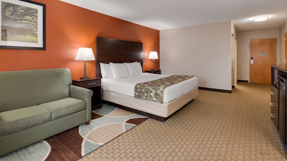 Standard Room, 1 King Bed, Accessible, Bathtub photo 1