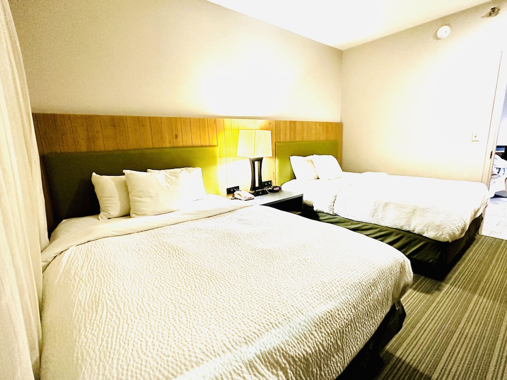 Deluxe Room photo 3